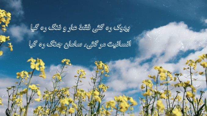 Seerat Fatima Ayat. The poetic journalurdu poetry. urdu ghazal. dhukhi shaeyri. sad poetry. urdu poetry.