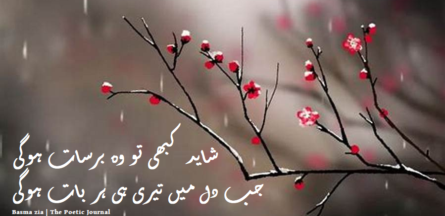 Basma Zia Poetry ,