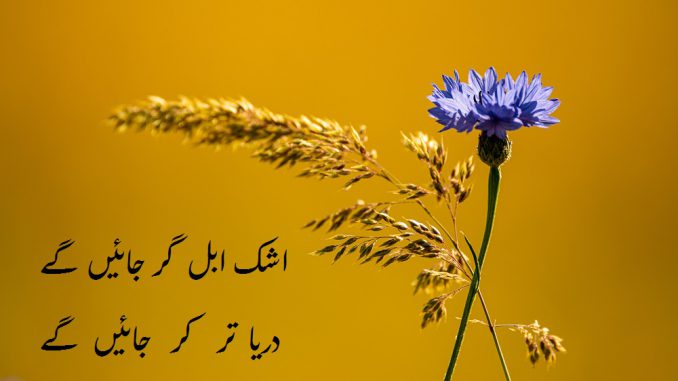 Zuraiz Ahmed. The poetic journal. urdu poetry. urdu ghazal. dhukhi shaeyri. sad poetry. urdu poetry.