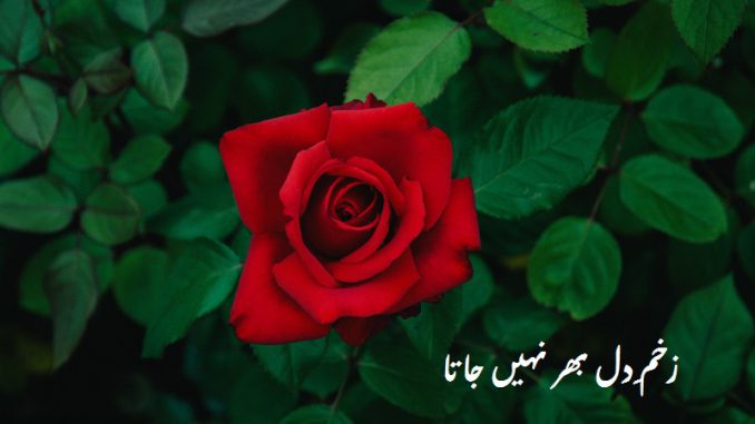 Ibtassam Khan. Yousaf Afreen. The poetic journal.urdu poetry. urdu ghazal. dhukhi shaeyri. sad poetry. urdu poetry.