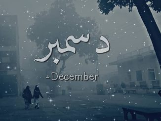 December, Muhammad Shahzad Anjum